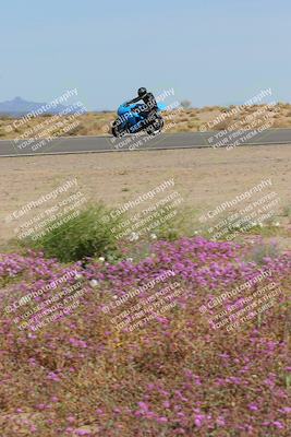 media/Mar-12-2023-SoCal Trackdays (Sun) [[d4c8249724]]/Turn 15 Inside Bloom (130pm)/